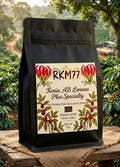Kenya AB Lenana Plus Harvest Reserve Coffee - RKM77 Coffee